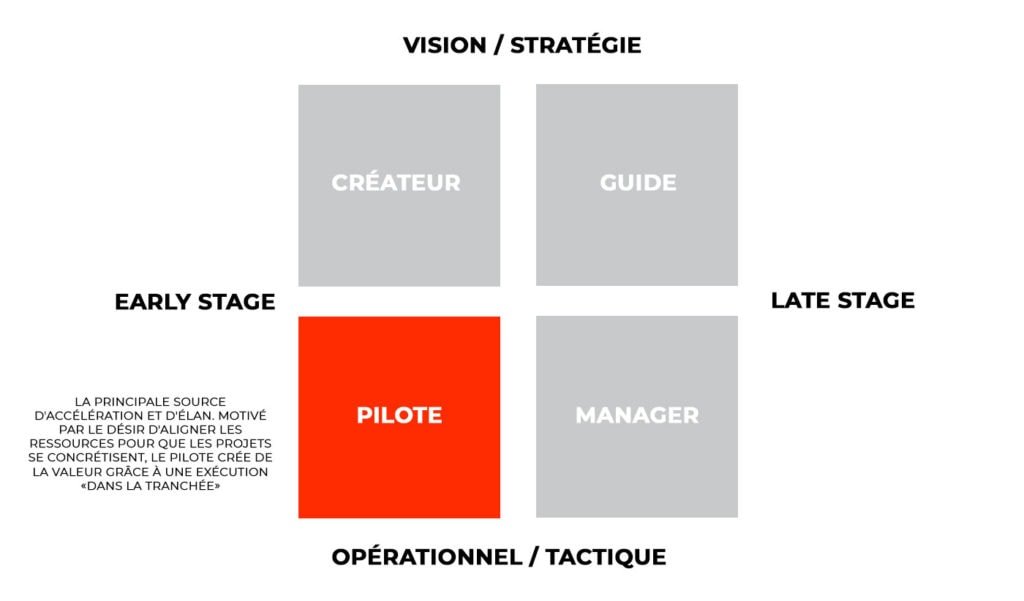 type d'entrepreneur : le pilote