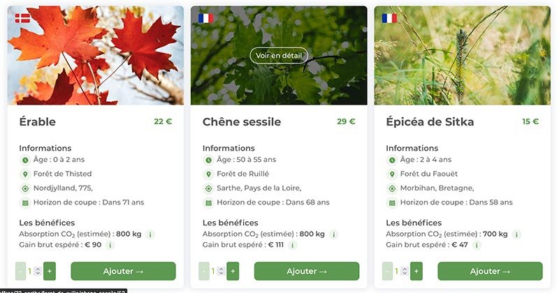 Programme de fidélité Eco Tree