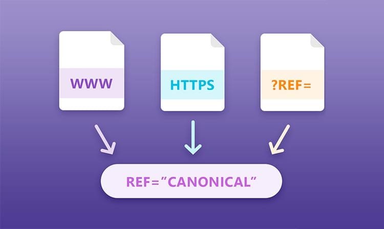 url canonique