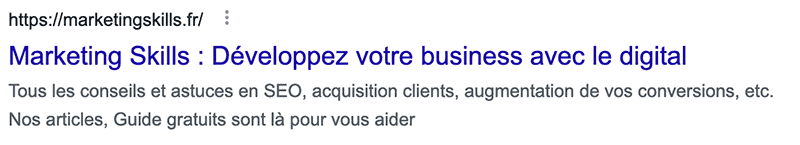 SERP Marketing Skills pour la page d'accueil