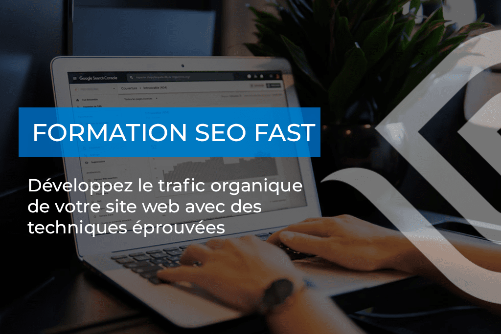 Formation SEO