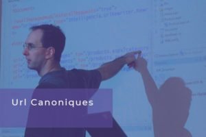 url canoniques