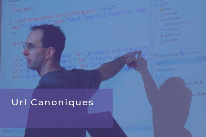 url canoniques