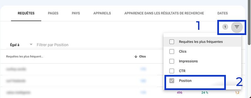 filtre search console